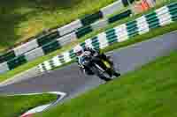 Black Bikes